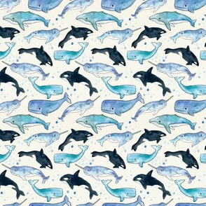 Whales, Orcas & Narwhals - Tiny