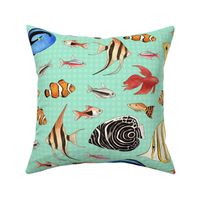 Tropical Fish on spotty aqua background