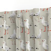 Seagulls on Tan/Gray