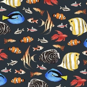 Tropical Fish on charcoal