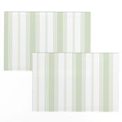 Topsail Stripe basil