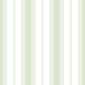 Topsail Stripe basil