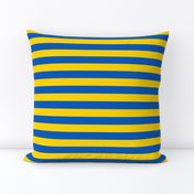 striped flag of ukraine | tiny