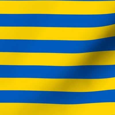 striped flag of ukraine | tiny