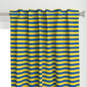 striped flag of ukraine | tiny