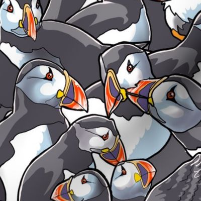 Puffin Huddle