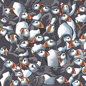 Puffin Huddle