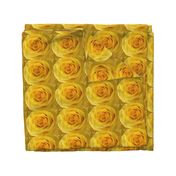 Yellow Rose Rolled