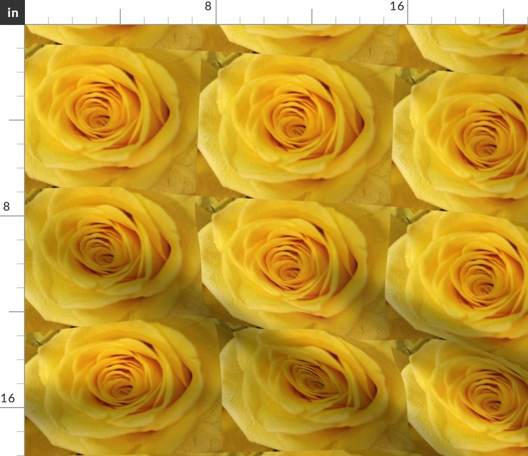 Yellow Rose Rolled