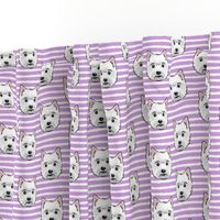 Westie - West Highland White Terrier - dogs on purple stripes