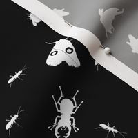 Insects are endangered