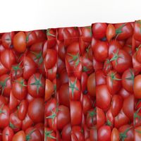 ripe tomatoes - painting effect