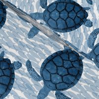 blue turtles and fish