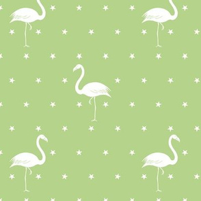 flamingos and stars on light green - small