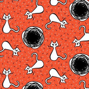 White cats and black holes - orange