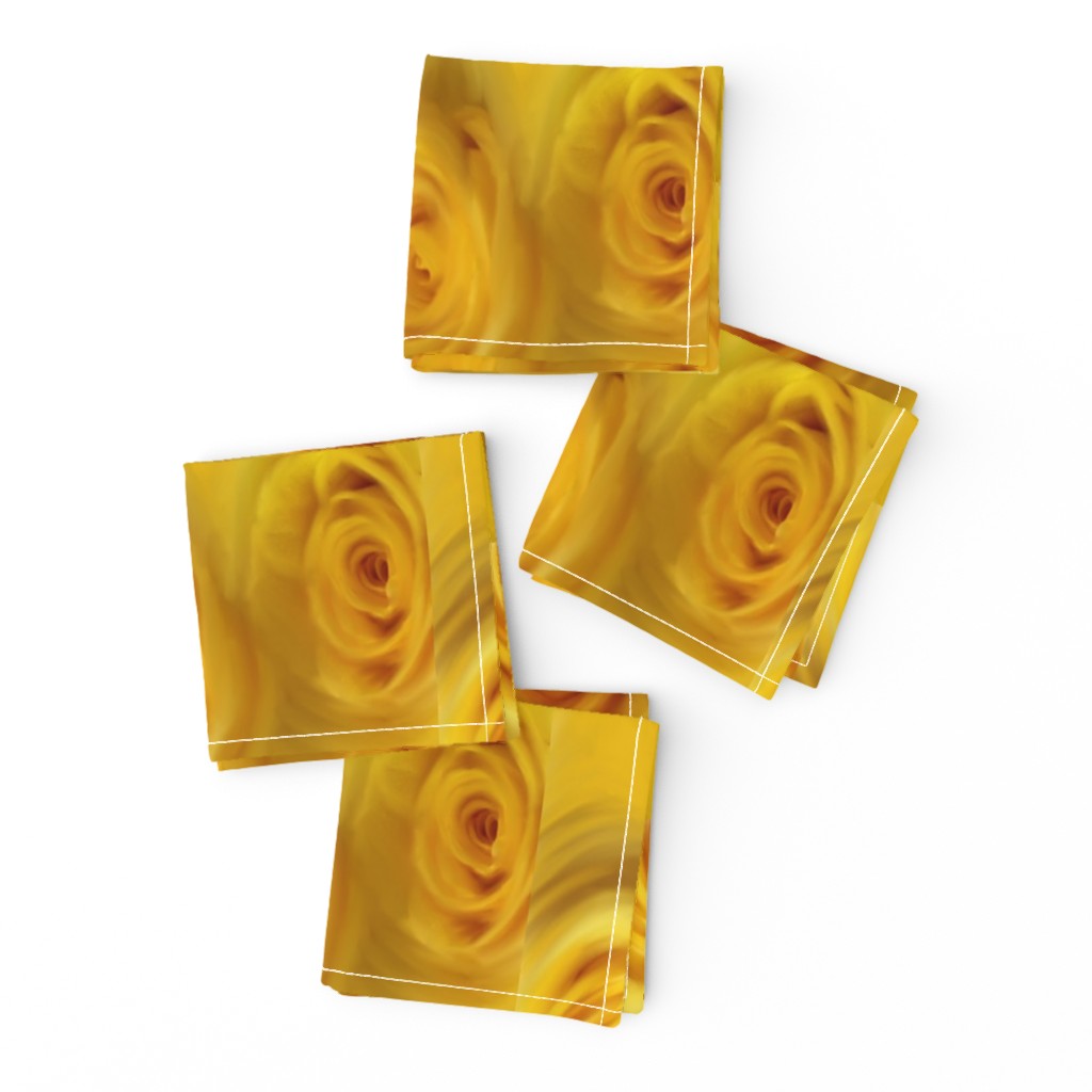 Soft Yellow Roses