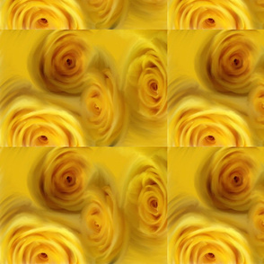 Soft Yellow Roses