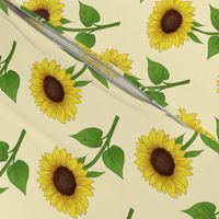 Sunflowers on light yellow