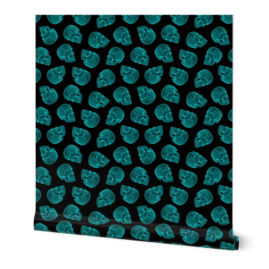 teal skull - xray