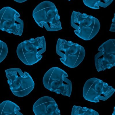 blue skull - xray