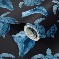 Blue Sea Turtles & Conch Shell on Black