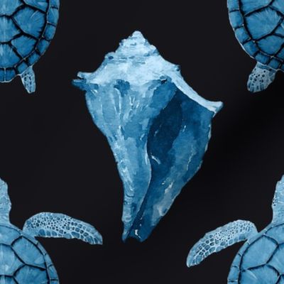 Blue Sea Turtles & Conch Shell on Black