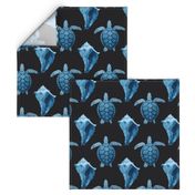 Blue Sea Turtles & Conch Shell on Black