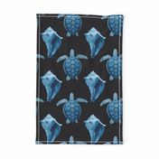 Blue Sea Turtles & Conch Shell on Black