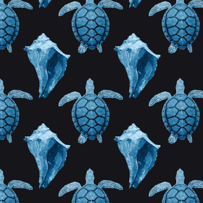 Blue Sea Turtles & Conch Shell on Black