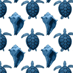 Blue Sea Turtles & Conch Shells on White