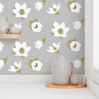 Arctic White Pasque flower N2 (grey)