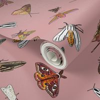 Many Moths 9
