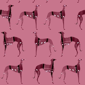 "poets and philosophers", pink greyhounds