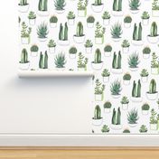 Watercolour Cacti  & Succulent - Large
