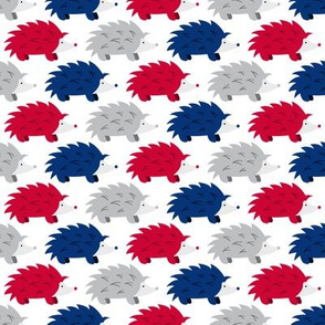 Hedgehogs on Parade (Red, White and Blue)