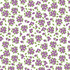 purple eyelet_4_f_2_blue-ch-ch-ch-ch-ch-ch