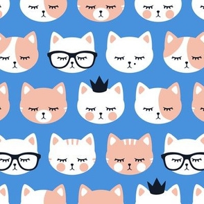 cat faces on blue