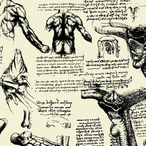 Da Vinci's Anatomy Sketchbook // Parchment // Large