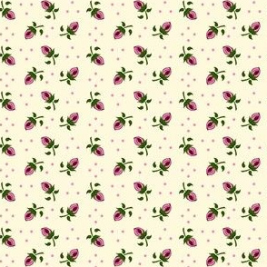 Tiny Rosebuds on Cream