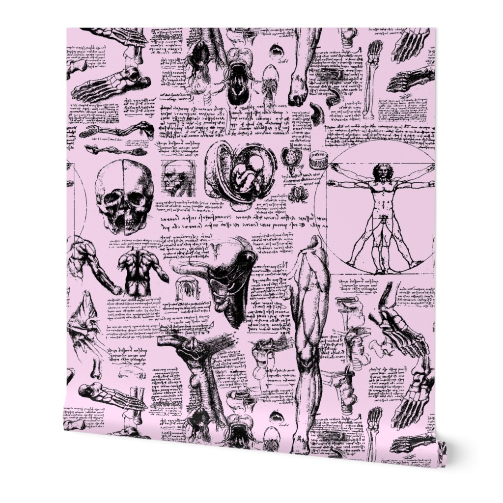 Da Vinci's Anatomy Sketchbook // Light Pink // Large