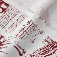 Da Vinci's Anatomy Sketchbook // Burgundy // Small