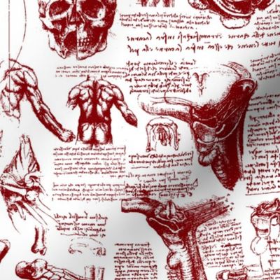 Da Vinci's Anatomy Sketchbook // Burgundy // Small