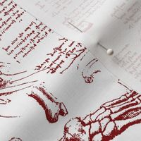 Da Vinci's Anatomy Sketchbook // Burgundy // Large