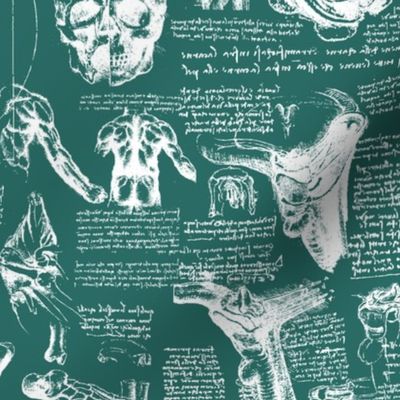 Da Vinci's Anatomy Sketchbook // Genoa Green // Small