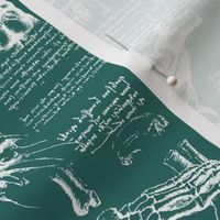 Da Vinci's Anatomy Sketchbook // Genoa Green // Small