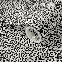 Jaguar Print Black & Cream