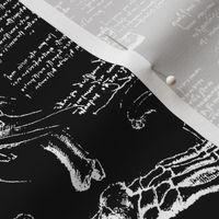 Da Vinci's Anatomy Sketchbook // Black // Large