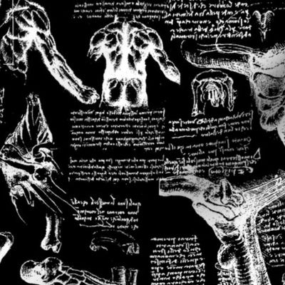 Da Vinci's Anatomy Sketchbook // Black // Large