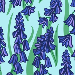 Bluebells - large