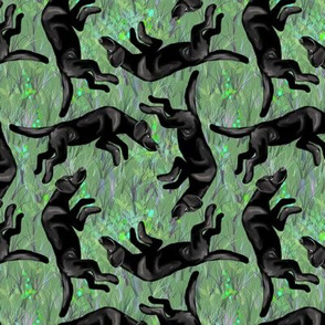 Square Dancing Black Labrador Retrievers